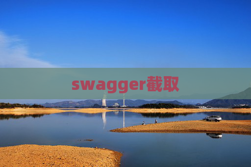 swagger截取